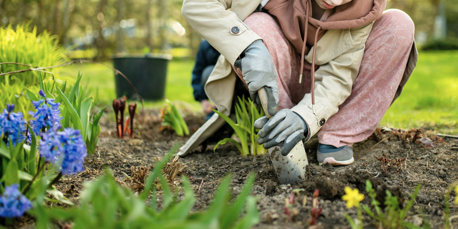 Garden Goals 2025: Prep Your Space for Spring